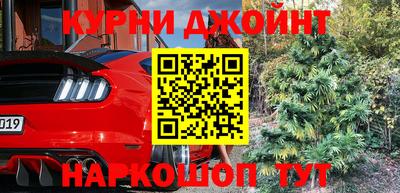 прущие грибы Гай